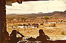 TANSANIA 1971_'Lake-Manyara-Lodge'_ Whisky-schlürfen und Elefanten beobachten_Jochen A. Hübener