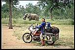 1991_Zimbabwe_close to the border to Zambia_my "3 elephants"-photo: elephant, motorbike, Jochen_what an experience, what a feeling ! _my motorcycle-trip 1990-91 Nairobi-Capetown_Jochen A. Hübener