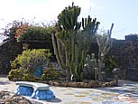 'Plaza Glorietta', Schmuckstück von 'Las Manchas de Abajo', Werk des Künstlers Luis Morera, Sänger der Gruppe 'Taburiente' : Mosaiken stellen Tiere und Pflanzen dar, zum Verweilen, Relaxen laden auch eine geschmackvolle Auswahl heimischer Pflanzen sowie der Springbrunnen ein, man sitzt auf Mosaikbänken ... von dort ein herrlicher Blick hinauf zu den Bergen
