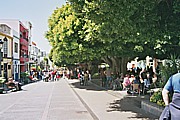 gemütliches Relaxen auf der 'Plaza de España' im Zentrum der 'heimlichen' Hauptstadt v. LA PALMA, in 'Los Llanos de Aridane', in den 2 Strassen-Cafès, unter indischen Lorbeerbäumen ...