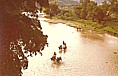 durch die SIERRA MADRE del SUR_vor OAXACA_Bauern durchwaten mit ihren Ochsengespannen den Fluss_MEXICO 1974