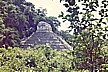 Kulturschnuppern stand natürlich auch auf der Tagesordnung _ hier PALENQUE_ansonsten Teotihuacan, Monte Alban, Uxmal, Chichen Itzá etc._MEXICO 1974 