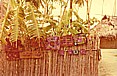 ... vorsichtig taste ich mich auf dem kleinen Inselchen der CUNA-Indios im 'Archipielago de SAN BLAS', vor_niemand dort?_jedenfalls niemand zu sehen ... _nur die weltweit bekannten, sehr geschätzten, sehr kostbaren Stickerei- deckchen der CUNA-Indios ...  _PANAMA 1974
