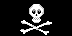 pirate skeleton flag