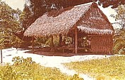 Ankunft bei Dschungel-Indios_Hütte an einem Seitenarm des Rio Ucayali, einer der Quellflüsse des Amazonas_Osten PERU 1975_Jochen A. Hübener