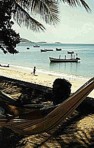  ... diese Aussicht ... von der Hängematte aus ... den gan- zen Tag über ... tagelang ... einfach fantastisch ... Isla Margarita, VENEZUELA_Jochen 1984