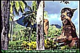 1996_POLYNESIA_MOOREA_a huge warrior, made out of wood, in tropical area, close to the beach on my so loved exotic island, vis-a-vis TAHITI_my motorcycle-trip around the world 1995-96_Jochen A. Hübener