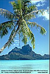 1996_POLYNESIA_Bora Bora_finding the paradise_view from a ... so called ... motu (island)_Jochen A. Hübener